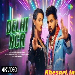 Delhi NCR (Neelkamal Singh)