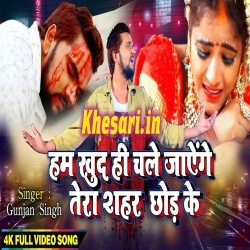 Hum Khud Hi Chale Jayenge Tera Sahar Chhod Ke (Gunjan Singh) Video Hum Khud Hi Chale Jayenge Tera Sahar Chhod Ke (Gunjan Singh) Video