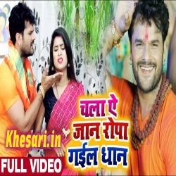 Chala Ae Jaan Ropa Gail Dhan - Khesari Lal Yadav Video Download Chala Ae Jaan Ropa Gail Dhan - Khesari Lal Yadav Video Download