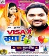 Visa Hai Kya