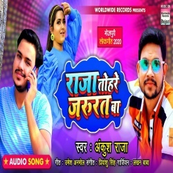 Raja Tohare Jarurat Ba Dj Remix