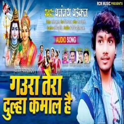 Gaura Tera Dulha Kamal Hai (Dhananjay Dhadkan)