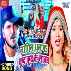 Nagin Dhun Pa Kud Kud Ke Nachab (Kallu) Video