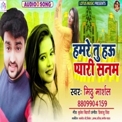 Hamre Tu Hau Pyari Sanam