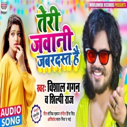 Teri Jawani Jabardast Hai (Vishal Gagan, Shilpi Raj)