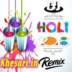 Dalab Ham Biche Biche Holi (Kallu ji) Dj Rk Raja Remix Song