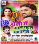 Holi Me Maal Hamar Chal Gail Mama Ghare DJ Remix