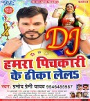 Hamra Pichkari Ke Thika Lela Aaga Chahe Picha Lela Dj Remix