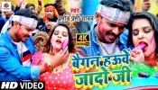 Baigan Hauwe Jado Ji (Video Song)