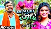 Balamua Rangihe (Video Song)