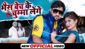 Bhains Bech Ke Chumma Lenge Bolo Kitna Daam Hai (Video Song)