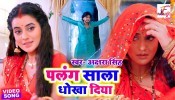 Palang Sala Dhokha Diya (Video Song)