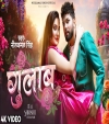 Gulab (Video Song)