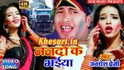 (Video Song) Nando Ke Bhaiya